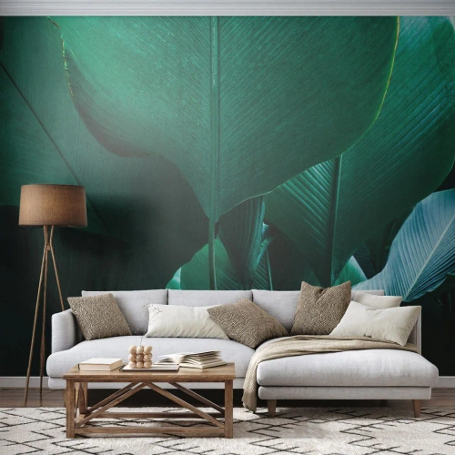 Fototapete Premium Canvas - Dem Licht zugewandt - Bananenblatt, Bananenbaum, Anlage - 200x140 cm