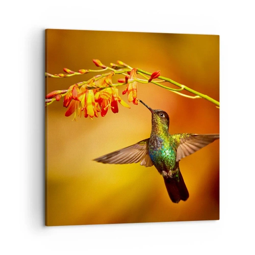 Bild auf Leinwand - Leinwandbild - Ein Lichtbote nach den Maya - 50x50 cm