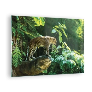 Glasbild - Bild auf glas - Leopard auf einem Felsen im tropischen Dschungel - 70x50cm - Auf die Jagd? - Moderne Wanddekoration für Wohnzimmer und Schlafzimmer ARTTOR