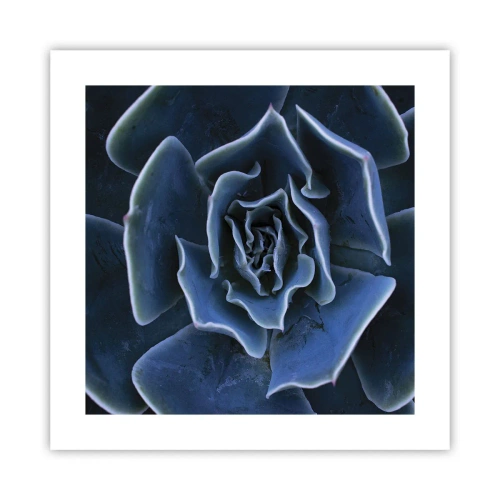 Poster - Wüstenblume - 40x40 cm