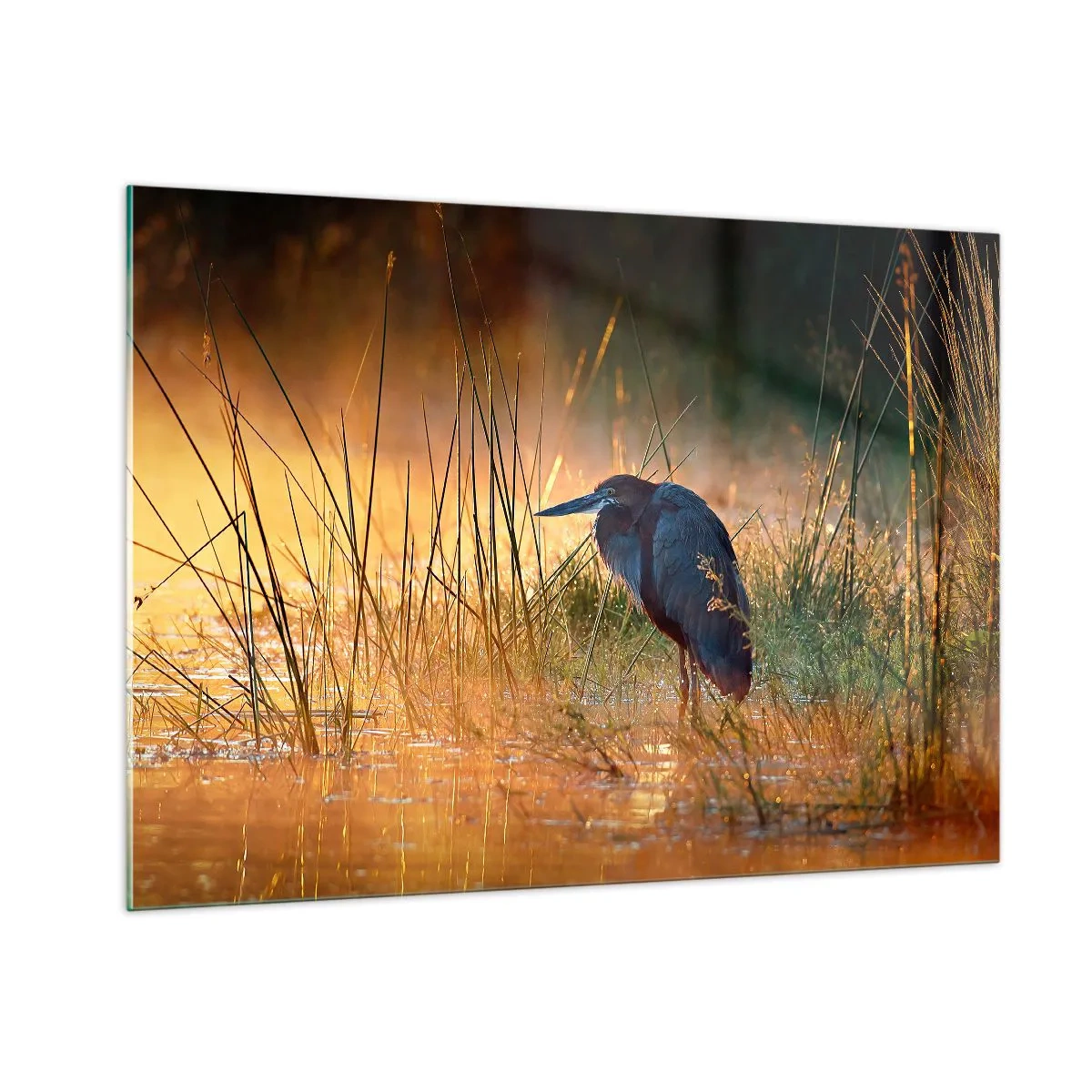 Glasbild - Bild auf glas - Sonnenuntergang über einem See mit einem Reiher - 100x70cm - Komm, gib mir eine Pause mit diesen Fotos - Moderne Wanddekoration für Wohnzimmer und Schlafzimmer ARTTOR