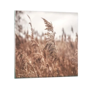 Glasbild - Bild auf glas - Auf den Feldern ist es schon Herbst - 30x30 cm