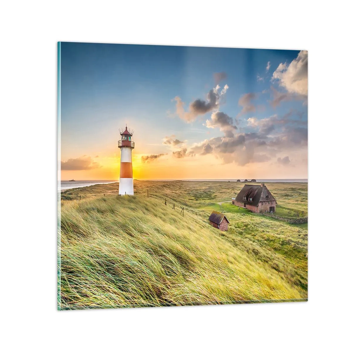 Glasbild - Bild auf glas - Zwischen den Wellen - 50x50 cm