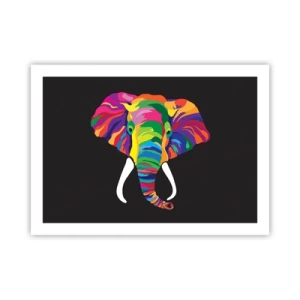 Poster - Der Elefant, der es liebte, im Regenbogen zu baden - 70x50 cm