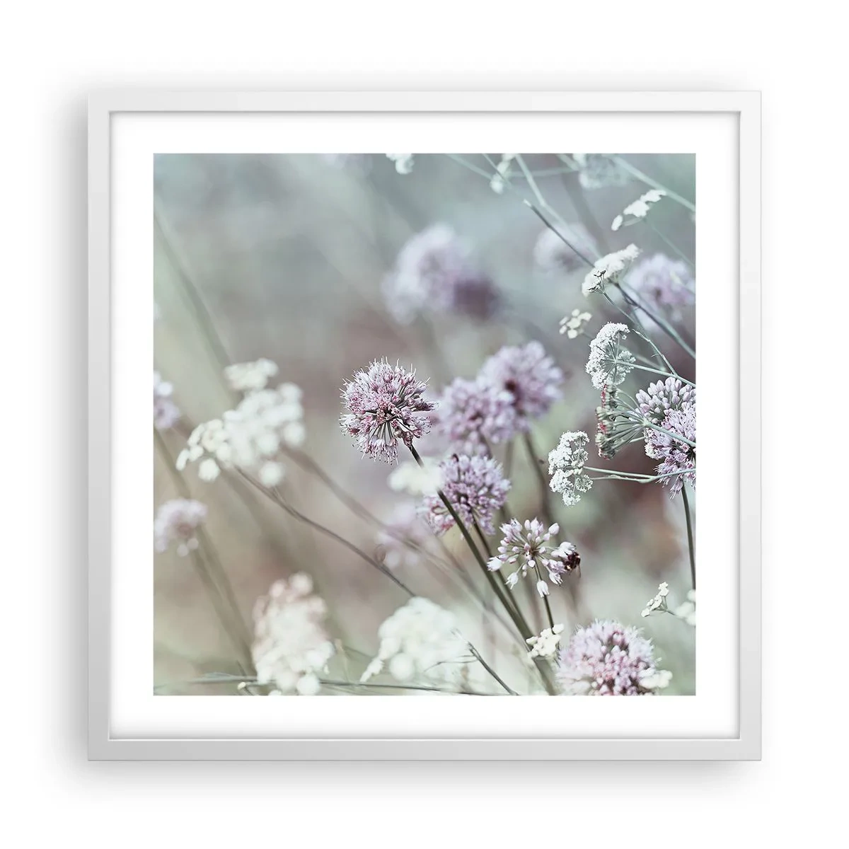 Poster in einem weißen Rahmen - Süße filigrane Kräuter - 50x50 cm