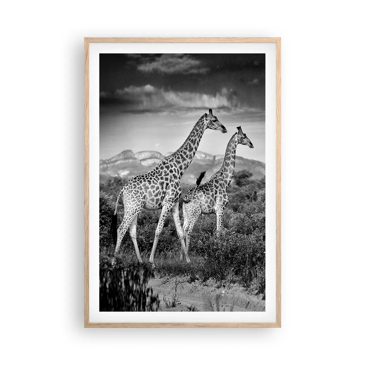 Poster in einem Rahmen aus heller Eiche - Hohe Sphären in Afrika - 61x91 cm