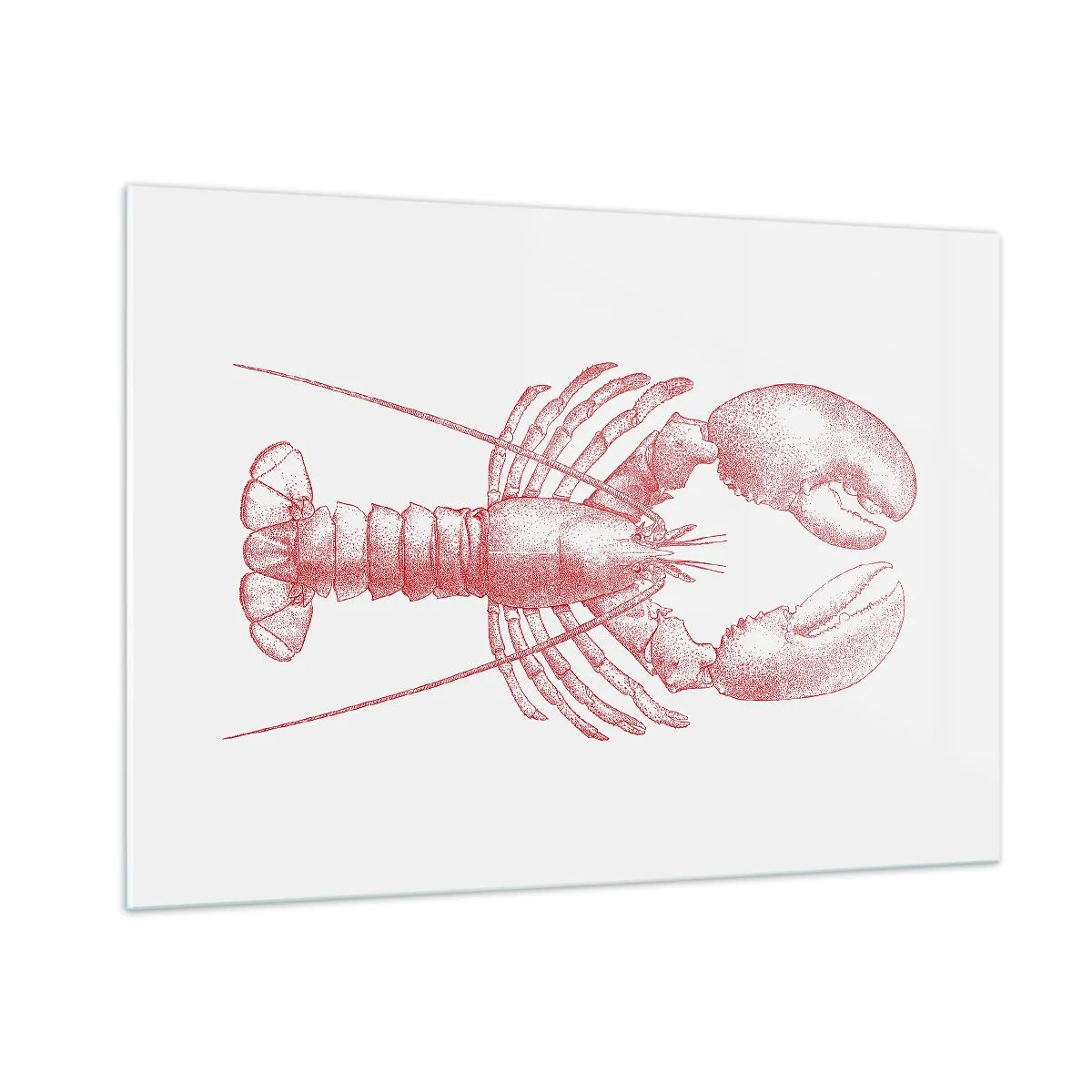 Glasbild - Bild auf glas - Skizze eines Hummers in Rot auf hellem Hintergrund - 100x70cm - Hummer, der Homers würdig ist - Moderne Wanddekoration für Wohnzimmer und Schlafzimmer ARTTOR
