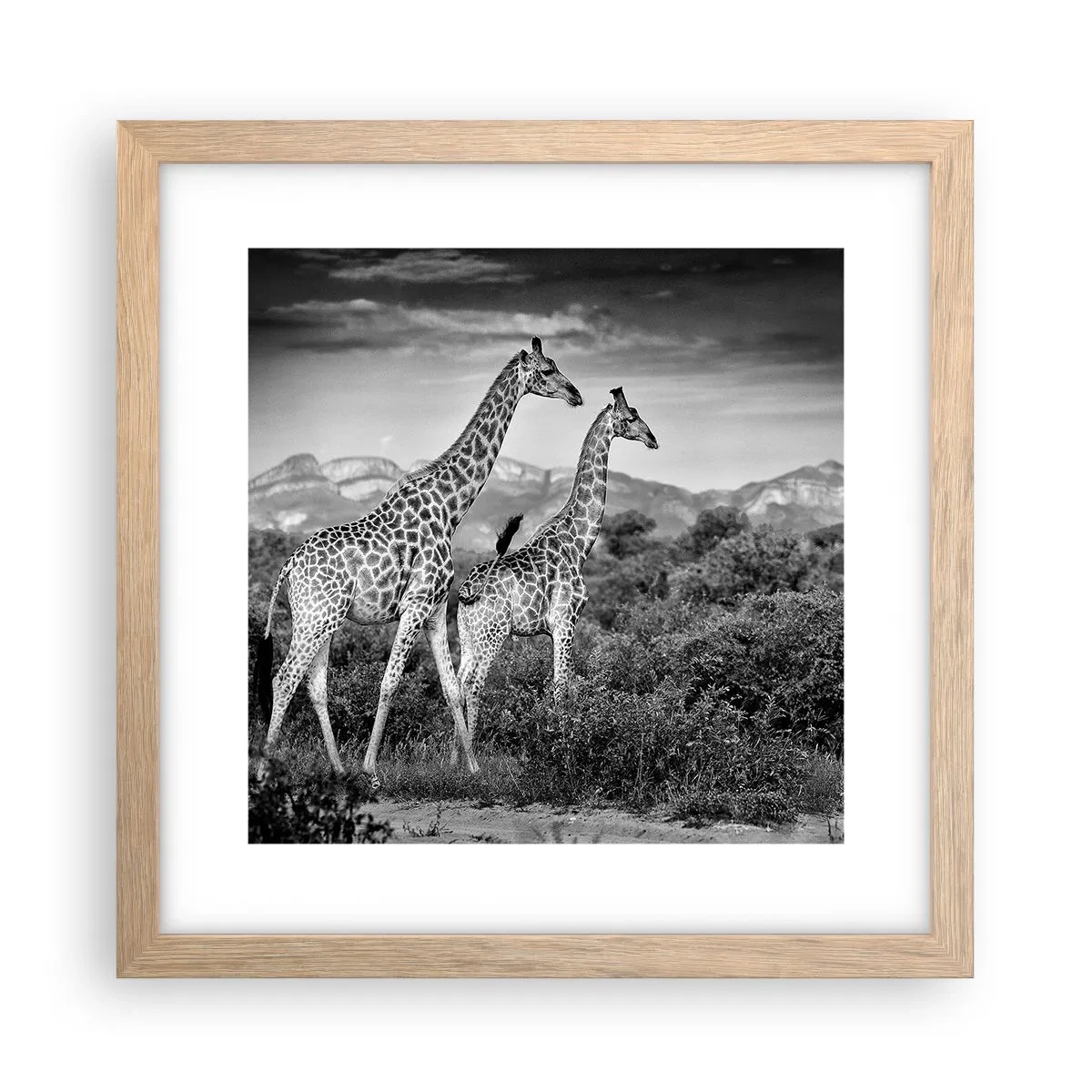 Poster in einem Rahmen aus heller Eiche - Hohe Sphären in Afrika - 30x30 cm