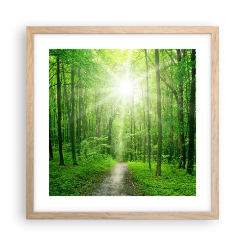 Poster in einem Rahmen aus heller Eiche - Die grüne Kathedrale - 40x40 cm