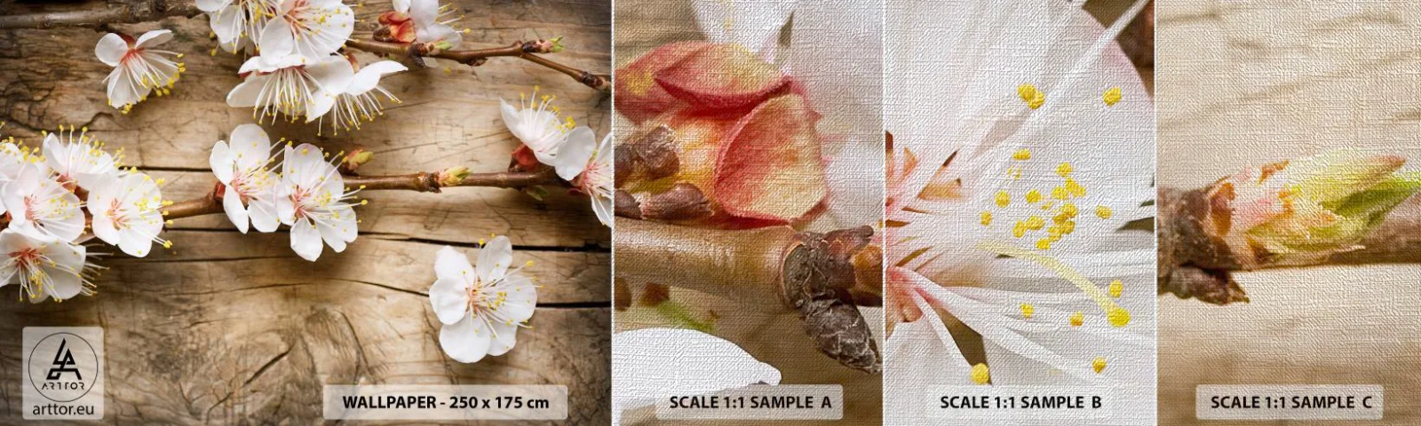 Fototapeten Muster Premium Canvas - Und es war Frühling - Blumen, Zweig mit Blumen, Natur - 100x30 cm