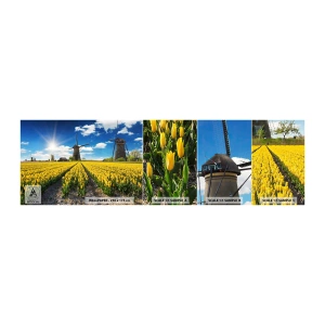 Fototapetenmuster Standard Eco - Holländischer geht's nicht - Landschaft, Lüfter, Tulpen - 100x30 cm