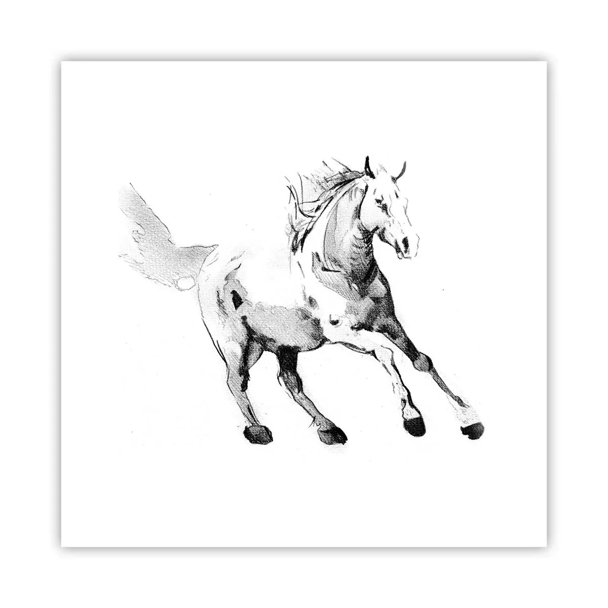 Poster - Ungezähmte Seele - 30x30 cm