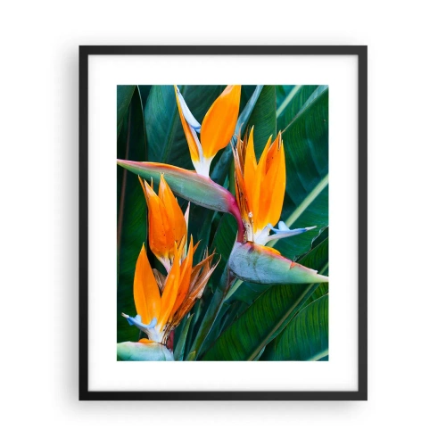 Poster in einem schwarzem Rahmen - Ist es eine Blume oder ist es ein Vogel? - 40x50 cm