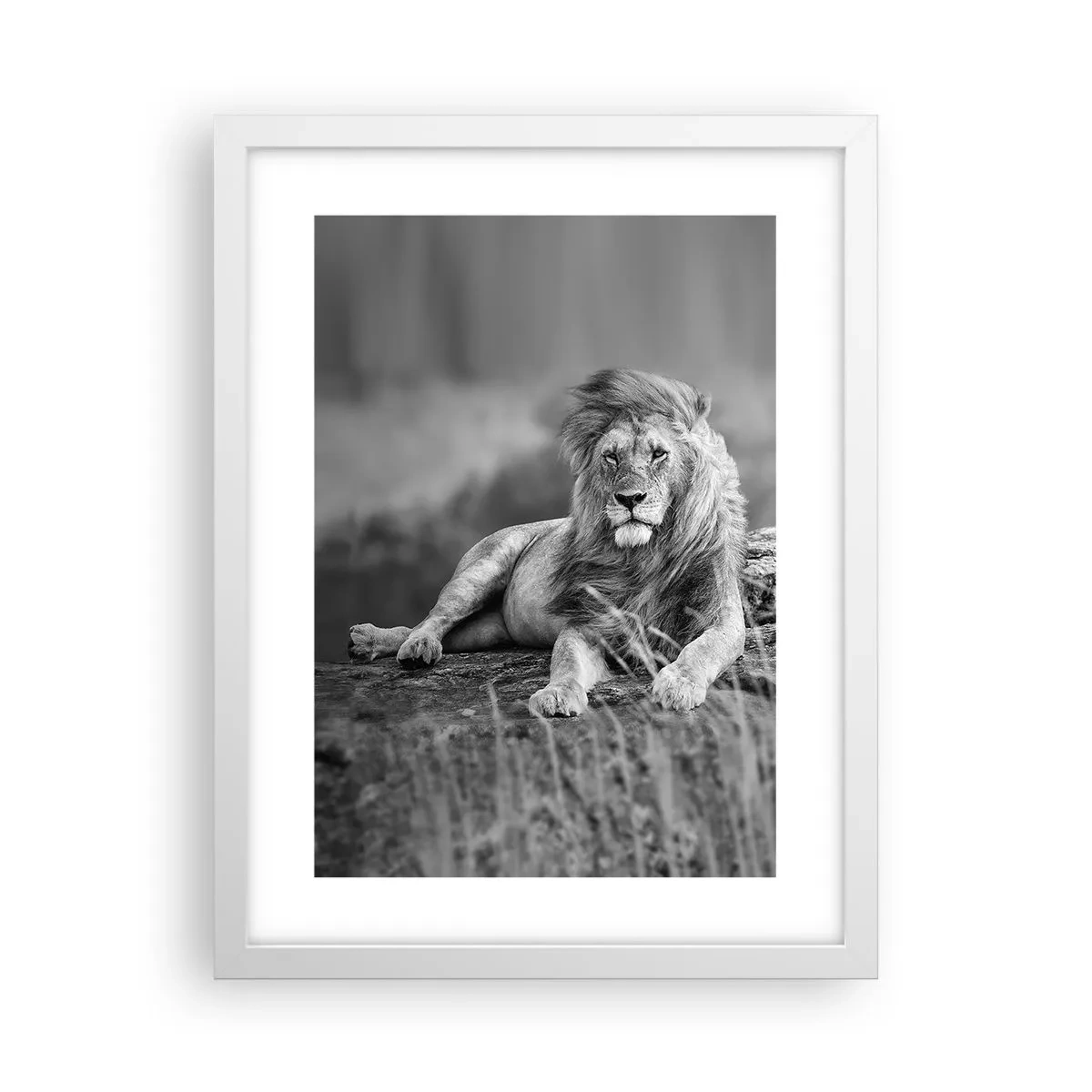 Poster in einem weißen Rahmen - Königliche Siesta - 30x40 cm