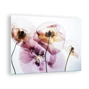 Glasbild - Bild auf glas - Zarte Blüten in transparenten Pastellfarben auf hellem Untergrund - 70x50cm - Transparente Körperblumen - Moderne Wanddekoration für Wohnzimmer und Schlafzimmer ARTTOR