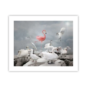 Poster - Wie kam ich hier hin? - 50x40 cm