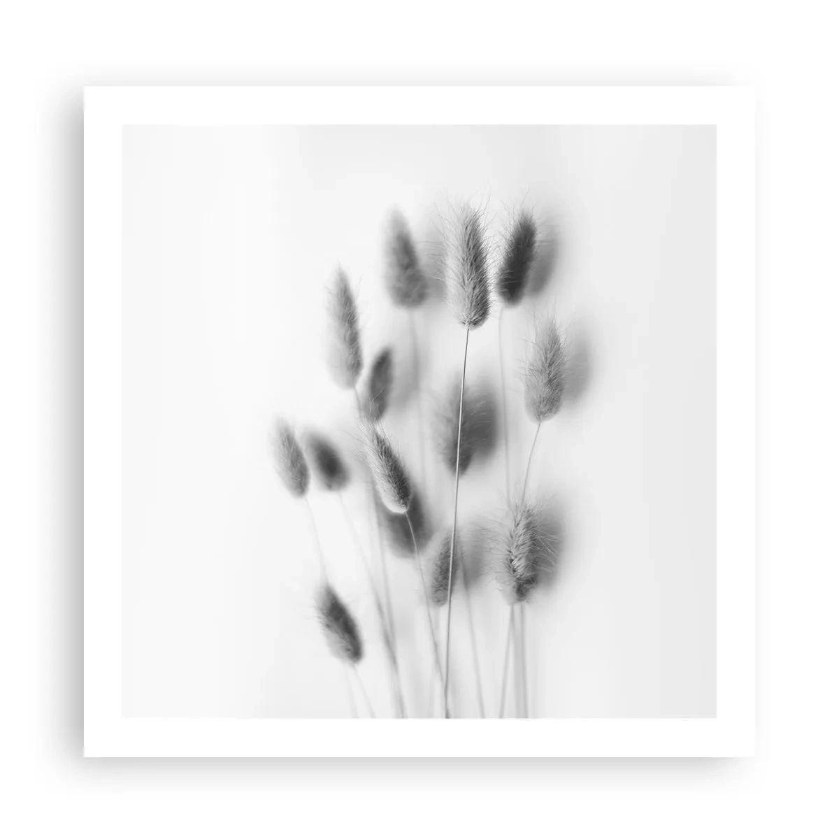 Poster - Eure flauschige Grashoheit - 60x60 cm
