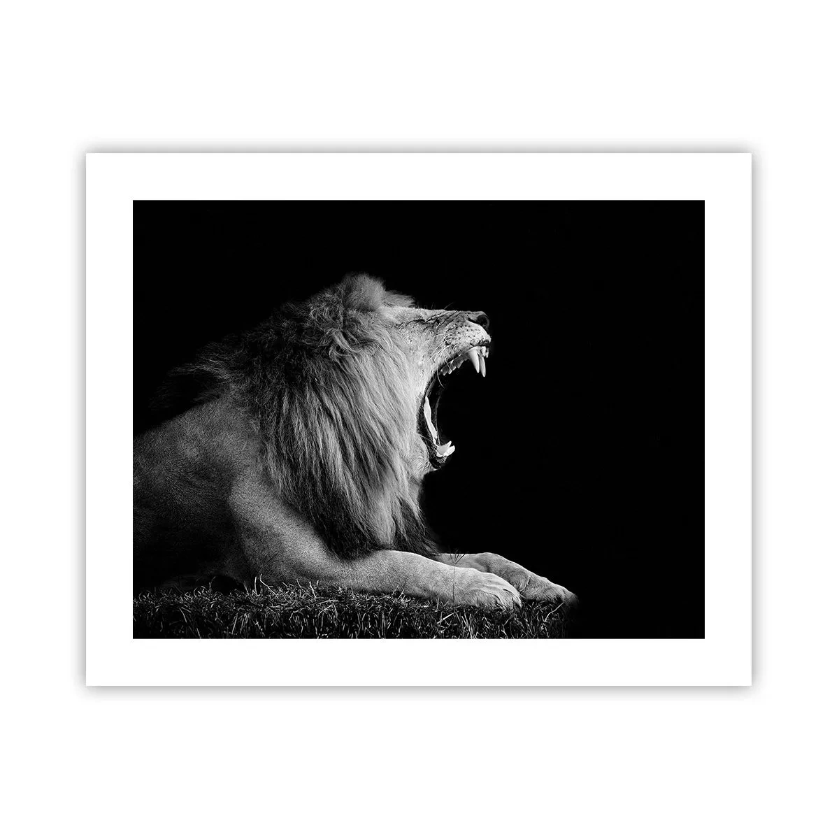 Poster - Ohne Zweifel - 50x40 cm