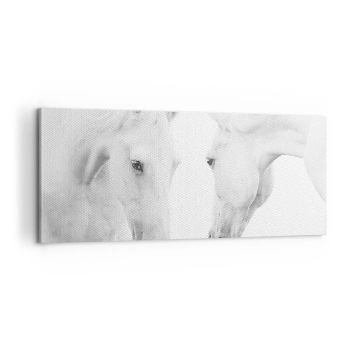 Bild auf Leinwand - Leinwandbild - Ist das Freundschaft...? - 100x40 cm