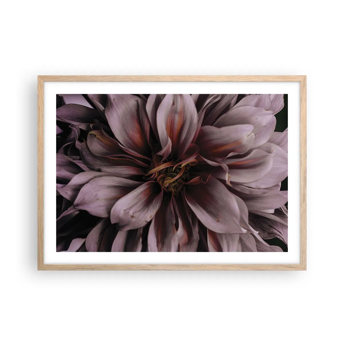 Poster in einem Rahmen aus heller Eiche - Ein Blumenherz - 70x50 cm