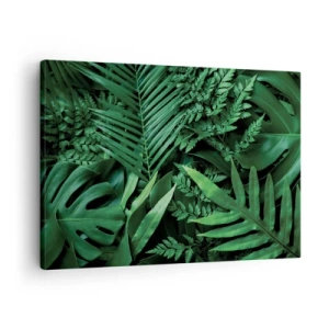Bild auf Leinwand - Leinwandbild - Grüne tropische Blätter in einer dichten und natürlichen Komposition - 70x50cm - Eingebettet ins Grüne - Moderne Wanddekoration für Wohnzimmer und Schlafzimmer ARTTOR
