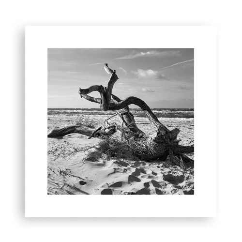 Poster - Meeresskulptur - 30x30 cm
