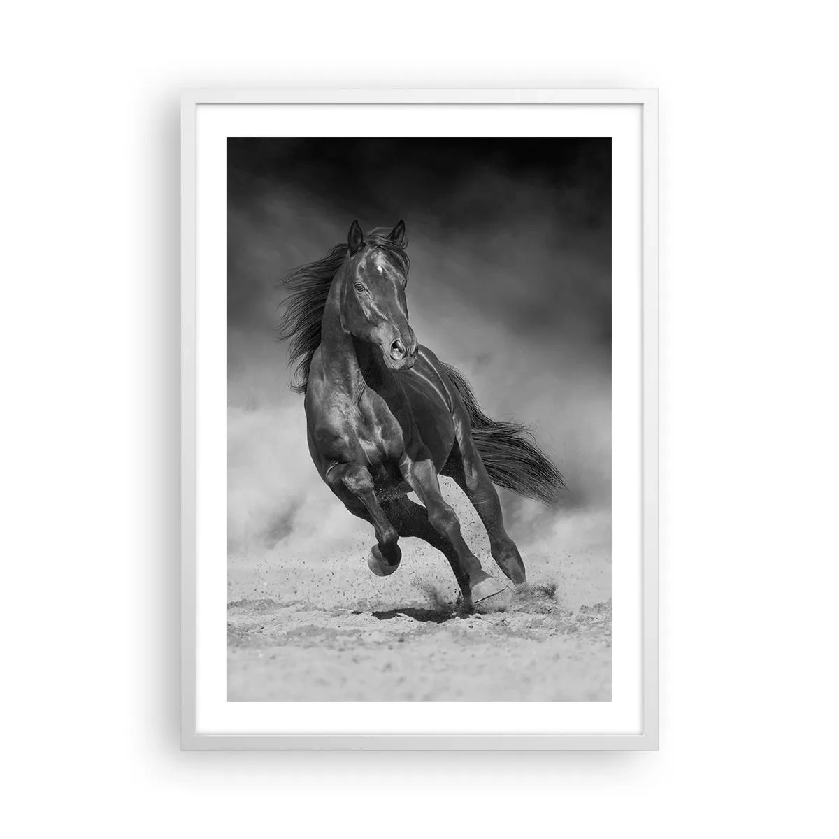 Poster in einem weißen Rahmen - Würdig des Emirs selbst - 50x70 cm