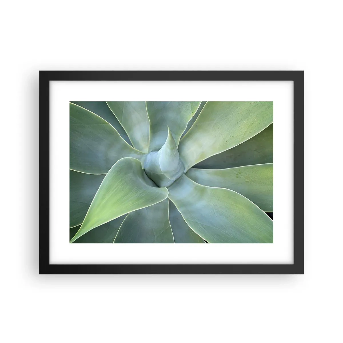 Poster in einem schwarzem Rahmen - Geburt des Grüns - 40x30 cm