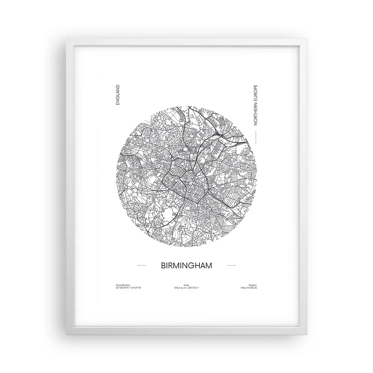 Poster in einem weißen Rahmen - Anatomie von Birmingham - 40x50 cm