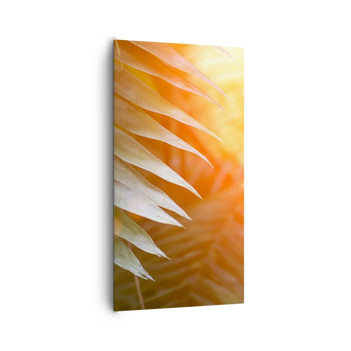 Bild auf Leinwand - Leinwandbild - Morgen im Dschungel - 65x120 cm
