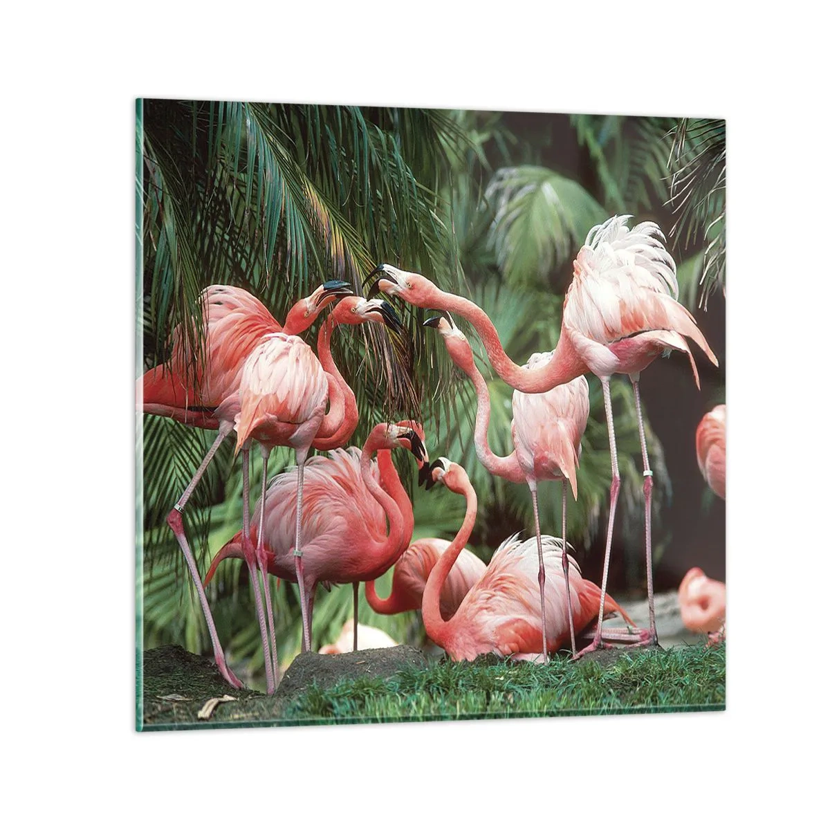 Glasbild - Bild auf glas - Nachmittagsklatsch - 60x60 cm