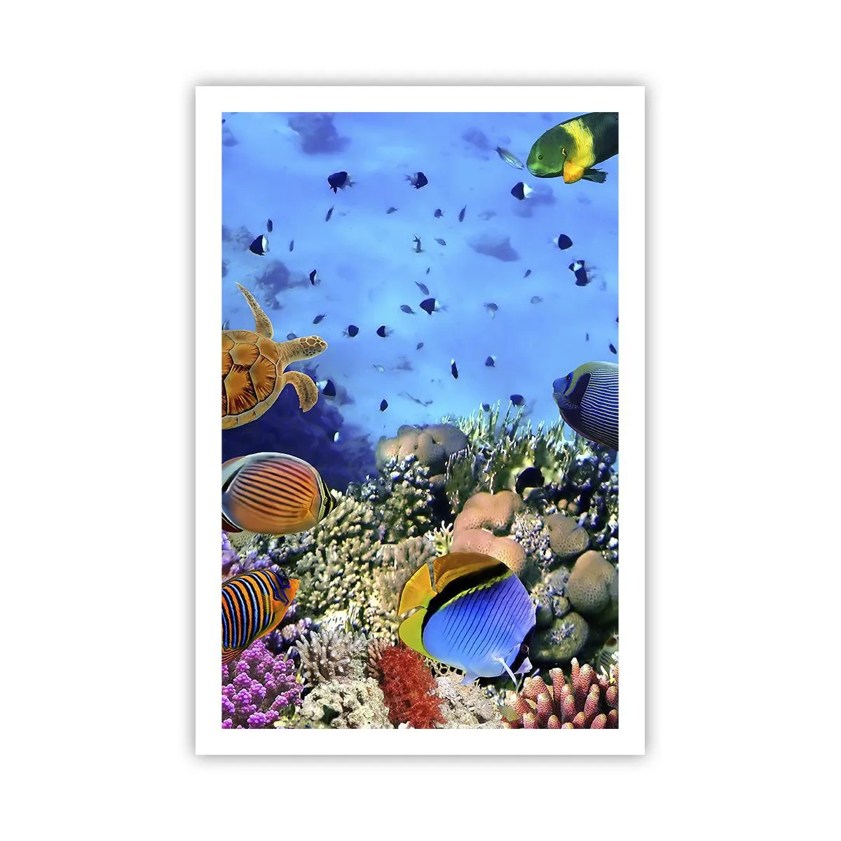 Poster - Und was wissen wir über das Leben ... - 61x91 cm