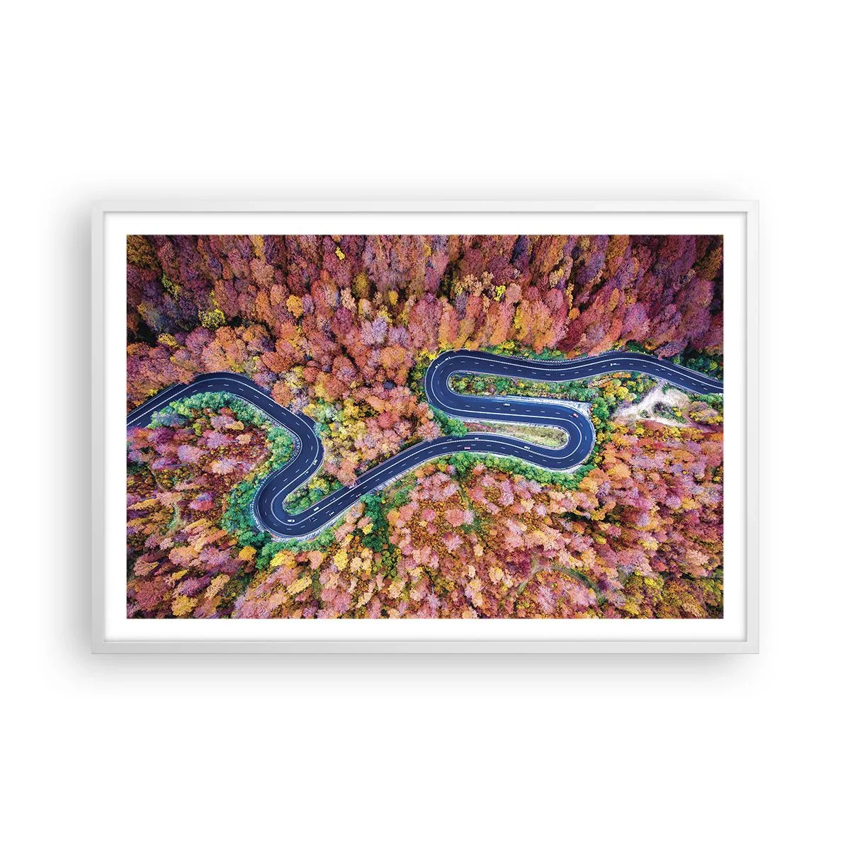Poster in einem weißen Rahmen - Kurvenreicher Weg durch den Wald - 91x61 cm
