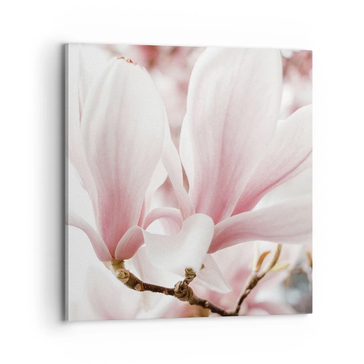 Bild auf Leinwand - Leinwandbild - Eine Fülle von Zärtlichkeit - 70x70 cm