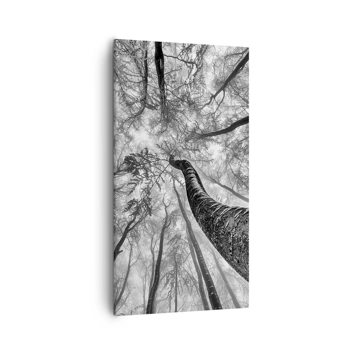 Bild auf Leinwand - Leinwandbild - Rennen zum Licht - 55x100 cm