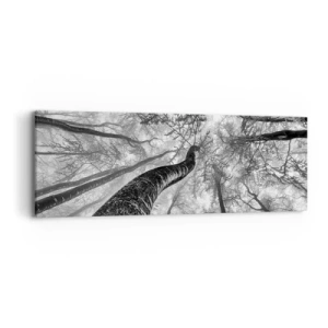 Bild auf Leinwand - Leinwandbild - Rennen zum Licht - 90x30 cm