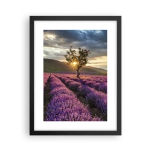 Poster in einem schwarzem Rahmen - Fliederfarbenes Aroma - 30x40 cm