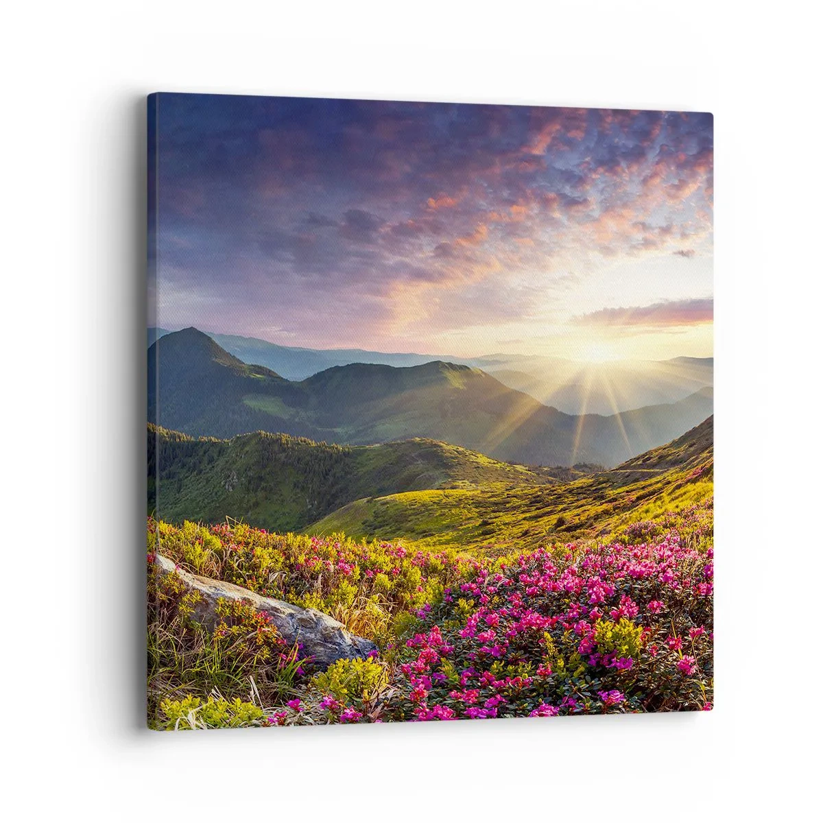 Bild auf Leinwand - Leinwandbild - Frische am Bergmorgen - 40x40 cm