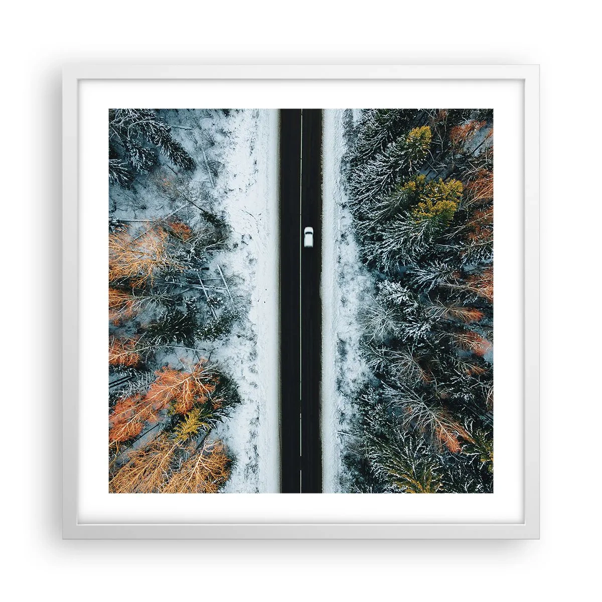 Poster in einem weißen Rahmen - Schnitt durch den Winterwald - 50x50 cm