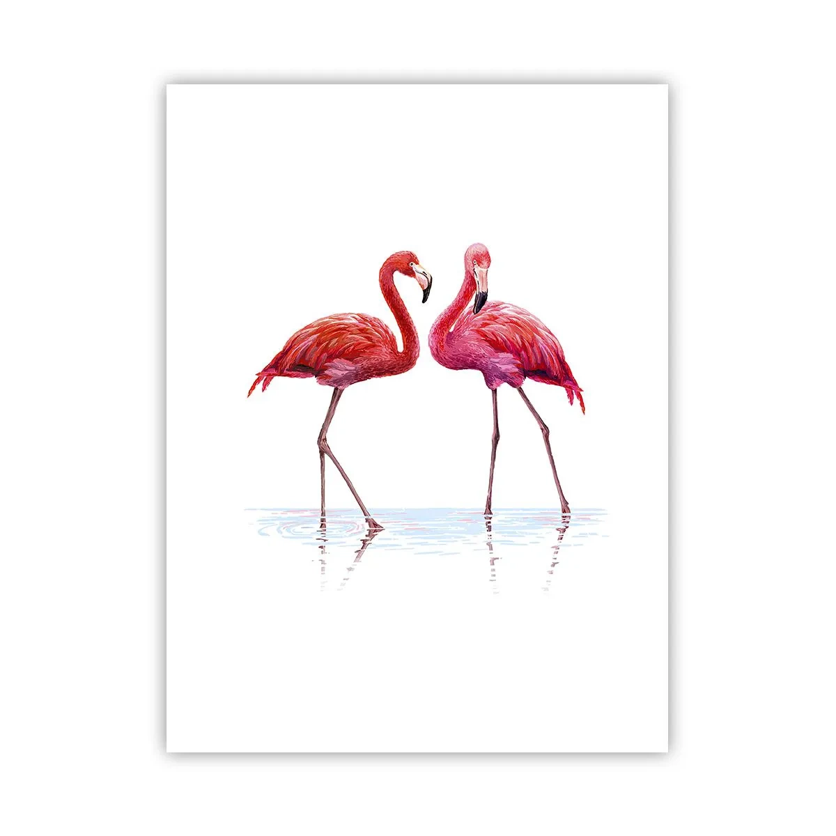 Poster - Rosa randez-vous - 30x40 cm