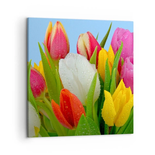 Bild auf Leinwand - Leinwandbild - Ein blumiger Regenbogen in Tautropfen - 50x50 cm