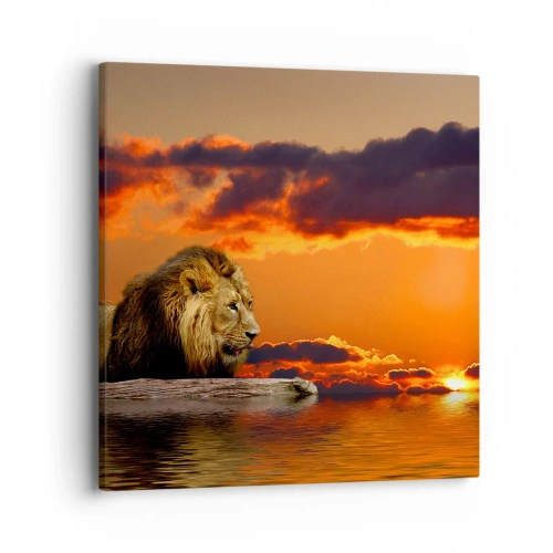 Bild auf Leinwand - Leinwandbild - König der Natur - 40x40 cm