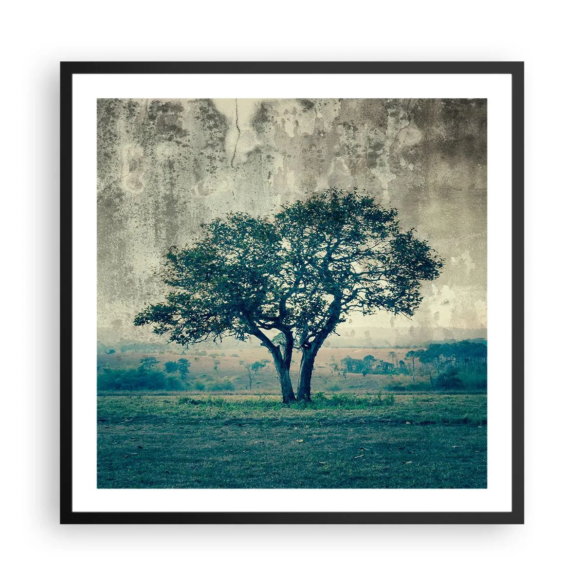 Poster in einem schwarzem Rahmen - Ein Apfelbaum auf blauem Feld? - 60x60 cm