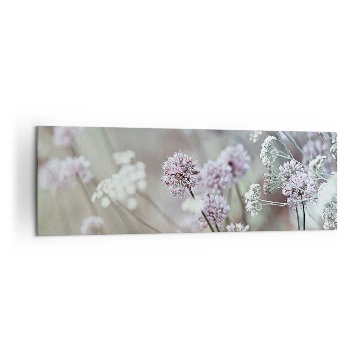 Bild auf Leinwand - Leinwandbild - Zarte Blüten in Pastelltönen - 160x50cm - Süße filigrane Kräuter - Moderne Wanddekoration für Wohnzimmer und Schlafzimmer ARTTOR