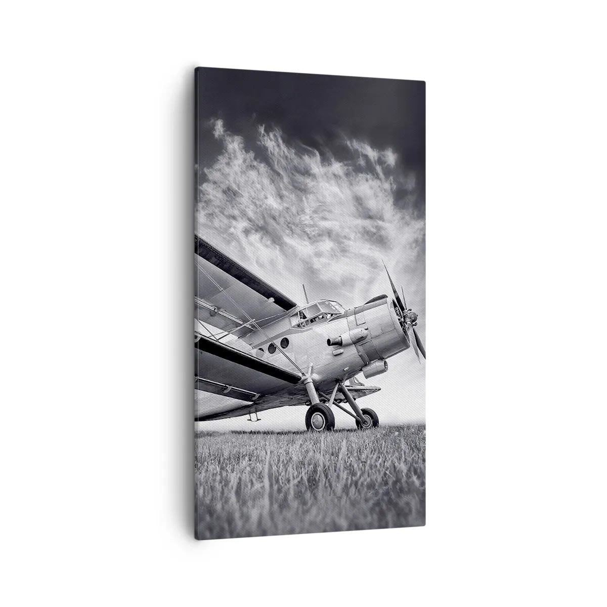 Bild auf Leinwand - Leinwandbild - Der geflügelte Wanderer - 55x100 cm