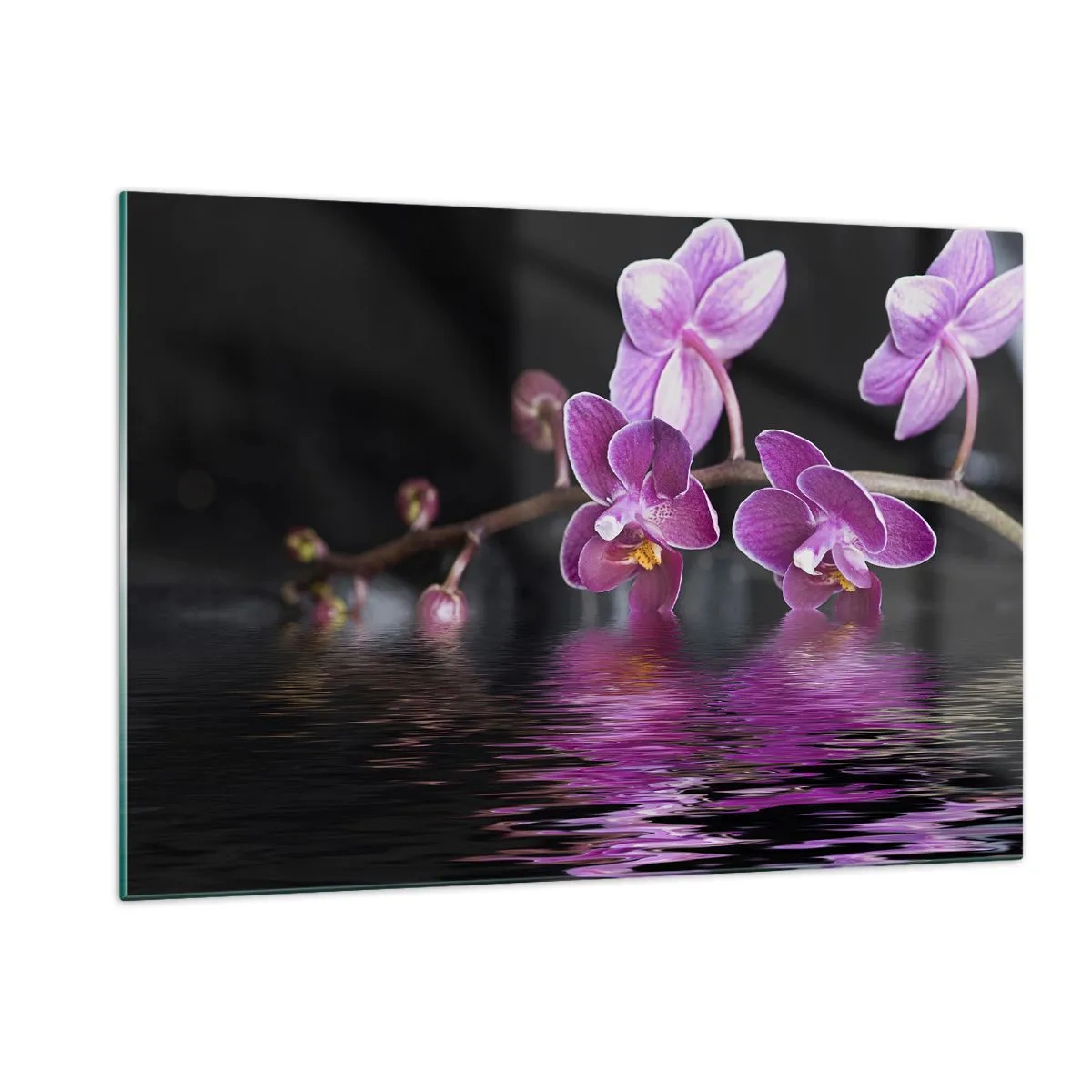 Glasbild - Bild auf glas - Lila Orchideen spiegeln sich im Wasser - 120x80cm - Lila Spiegelbild der Schönheit - Moderne Wanddekoration für Wohnzimmer und Schlafzimmer ARTTOR