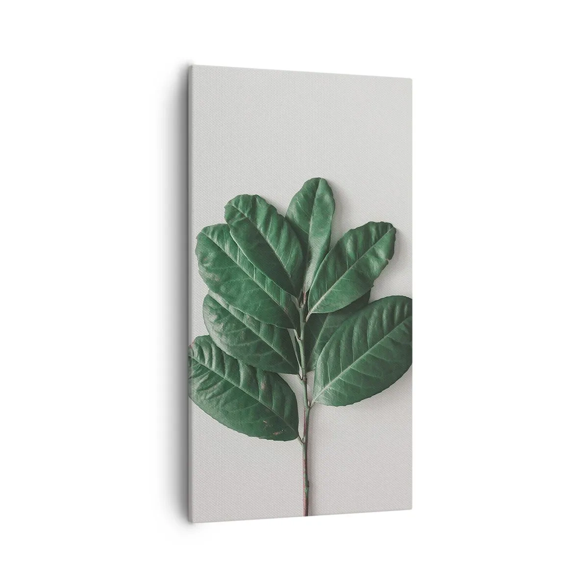 Bild auf Leinwand - Leinwandbild - Eine Zeichnung purer Natur - 55x100 cm