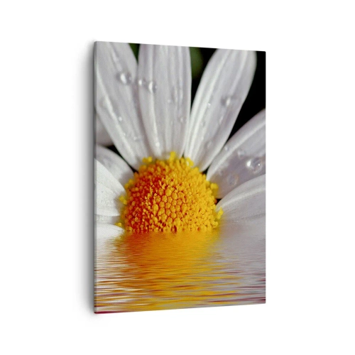 Bild auf Leinwand - Leinwandbild - Ein weißes Gänseblümchen mit Wassertropfen, eingetaucht in eine Wasserspiegelung - 50x70cm - Die aufgehende Sonne der Gänseblümchen - Moderne Wanddekoration für Wohnzimmer und Schlafzimmer ARTTOR