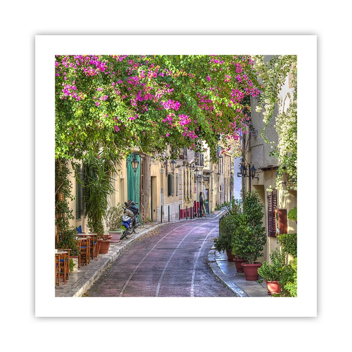 Poster - Blühende Gasse - 50x50 cm