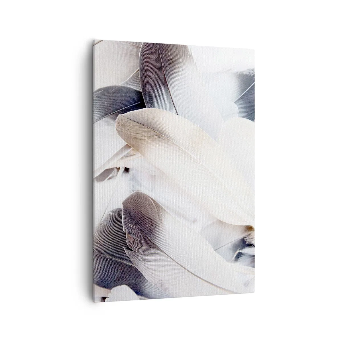 Bild auf Leinwand - Leinwandbild - Nahaufnahme zarter Federn in Weiß- und Grautönen - 70x100cm - Fast engelhaft - Moderne Wanddekoration für Wohnzimmer und Schlafzimmer ARTTOR